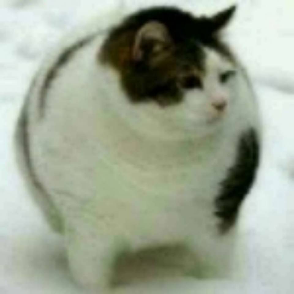 汇聚点点星光